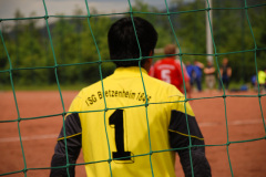 tsg-4