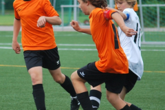 Kopie von DSC_0040