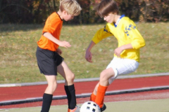 Kopie von Bild 119