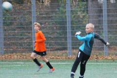 Kopie von Bild 173