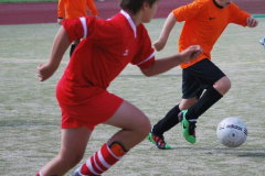 Kopie von DSC_0020