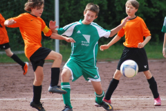 Kopie von DSC_0046(1)
