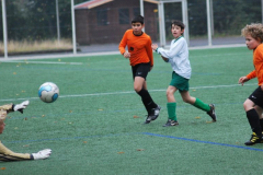 Kopie von DSC_0081