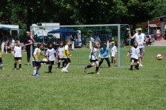 Mini WM TSG gg Bodenheim